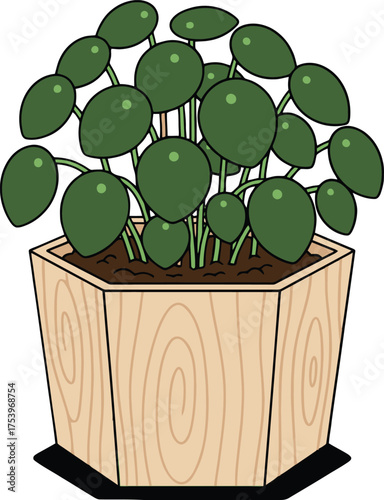 Cartoon illustration of a Pilea peperomioides plant in a hexagonal wooden pot on a white background Chinese money plant