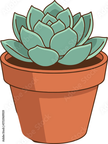 Illustration of a potted succulent plant with layered light green leaves in an orange terracotta pot