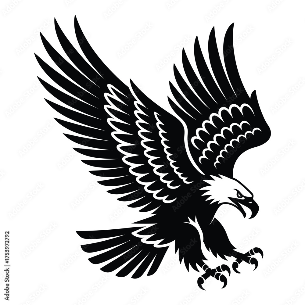 Fototapeta premium eagle with wings