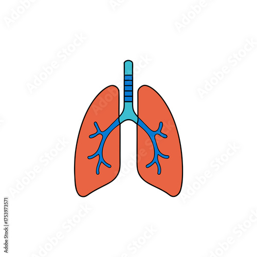 Illustration of human lungs and trachea on transparent background