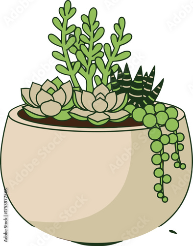 Assortment of green succulents in a light-colored pot, including string of pearls and echeveria potted plants