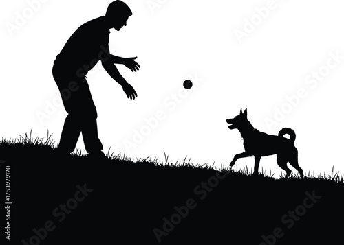 Man playing fetch with his dog in grass silhouette