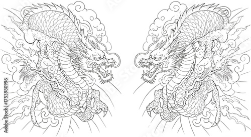 Two detailed black and white illustrations of Chinese dragons facing each other with clouds in the background