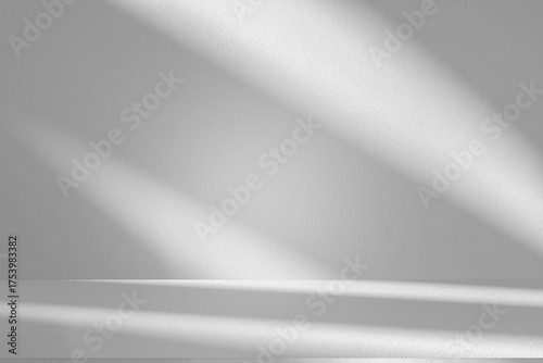 Wallpaper Mural Wall interior background, studio and backdrops show products.with shadow from window color white and grey. background for text insertion and presentation product	
 Torontodigital.ca