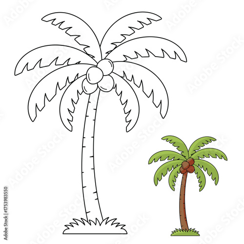 palm tree for kids coloring