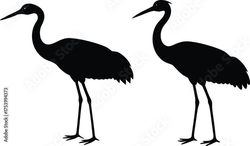 vector illustration of a crane and birds