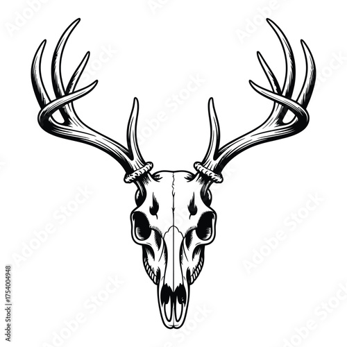 deer head silhouette