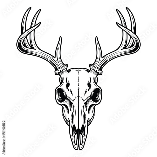 deer head silhouette