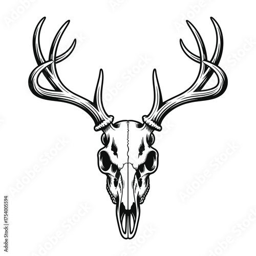 deer head vector