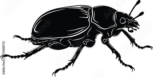 Black Silhouette Beetle Insect Vector Illustration Side View