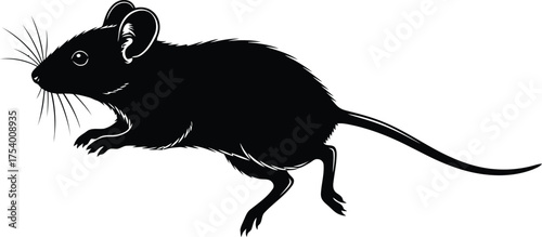 Black Silhouette Mouse Vector Illustration Running Pose