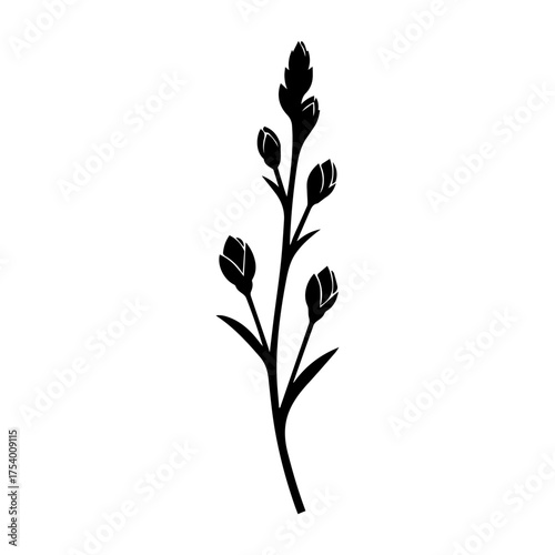Minimalist Botanical Bud Silhouette Vector Elegant Plant Stem Outline Graphic with Closed Flower Buds Nature Inspired Design vector illustration