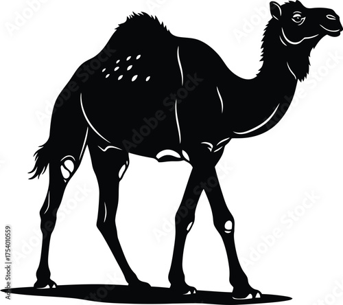 Black Silhouette of a Dromedary Camel Walking Vector Illustration on White Background
