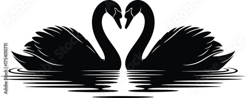 Two Black Swans Forming Heart Shape Silhouette in Water Reflection
