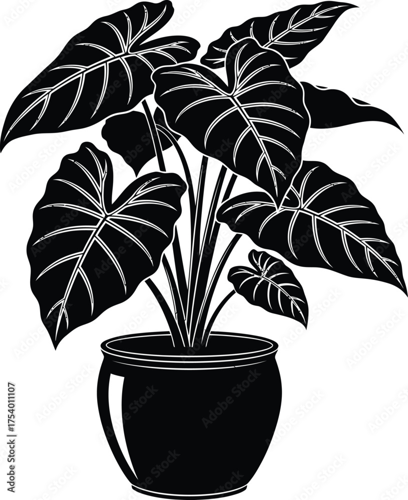 Obraz premium Alocasia Potted Plant Vector Illustration Black and White Silhouette