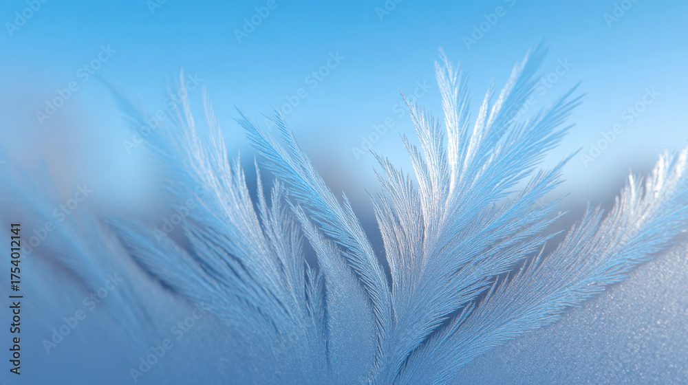 Obraz premium Frost pattern glass with delicate feather like ice crystals forming winter scene as cold season is coming with clear blue sky