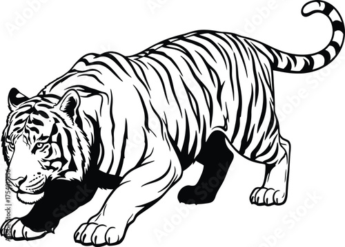 Black and white vector illustration of a crouching tiger in a predatory stance, perfect for graphic design and wildlife themes