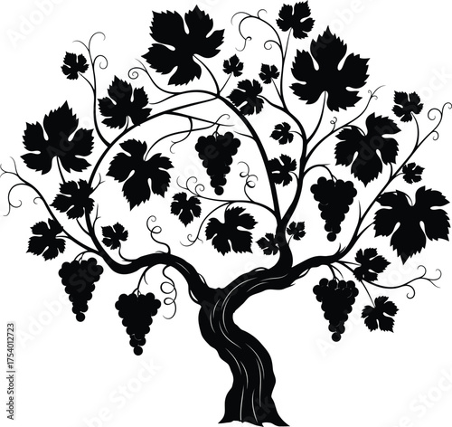 Black Silhouette Grape Vine with Leaves and Bunches of Ripe Grapes Vector Illustration on White Background