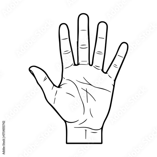 Human Left Hand Palm Outline Drawing Isolated on White Background Vector Illustration
