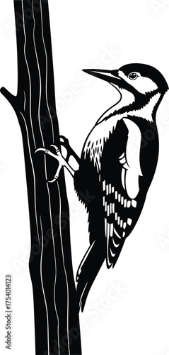 Woodpecker Bird Clinging to Tree Trunk Vector Illustration Black and White