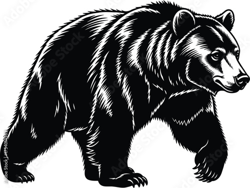 Powerful Black and White Bear Vector Illustration