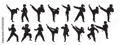  taekwondo girl silhouette white background .
