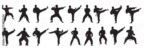 taekwondo man silhouette white background