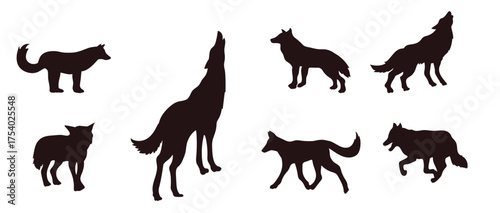the silhouette of a wolf roars running fast as a skilled 