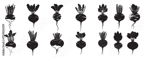  turnip silhouette white background 