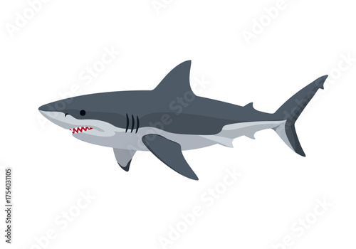 Cartoon Illustration of a Great White Shark Swimming.