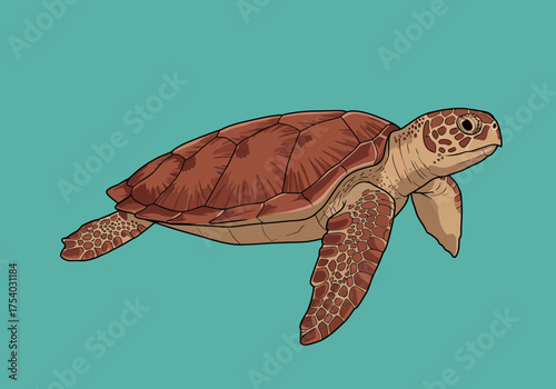 Cartoon Sea Turtle with Brown Shell Swimming in the Ocean.