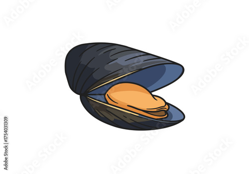 Open Mussel Shell with Orange Meat Inside Seafood Illustration.
