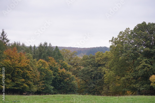 Landschaft im Herbst