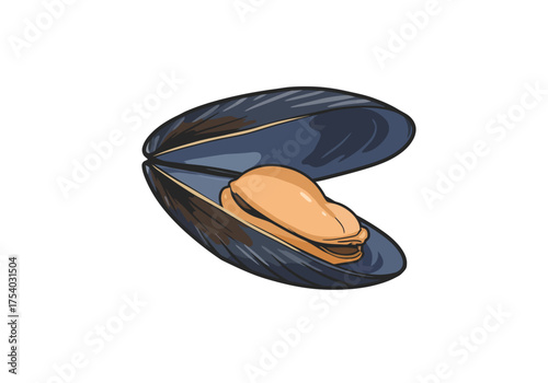 Open Mussel Shell with Edible Meat Inside Seafood Delicacy.