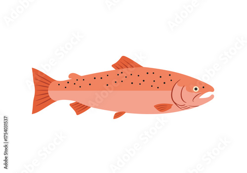 Illustrated Pink Salmon with Black Spots on White Background.