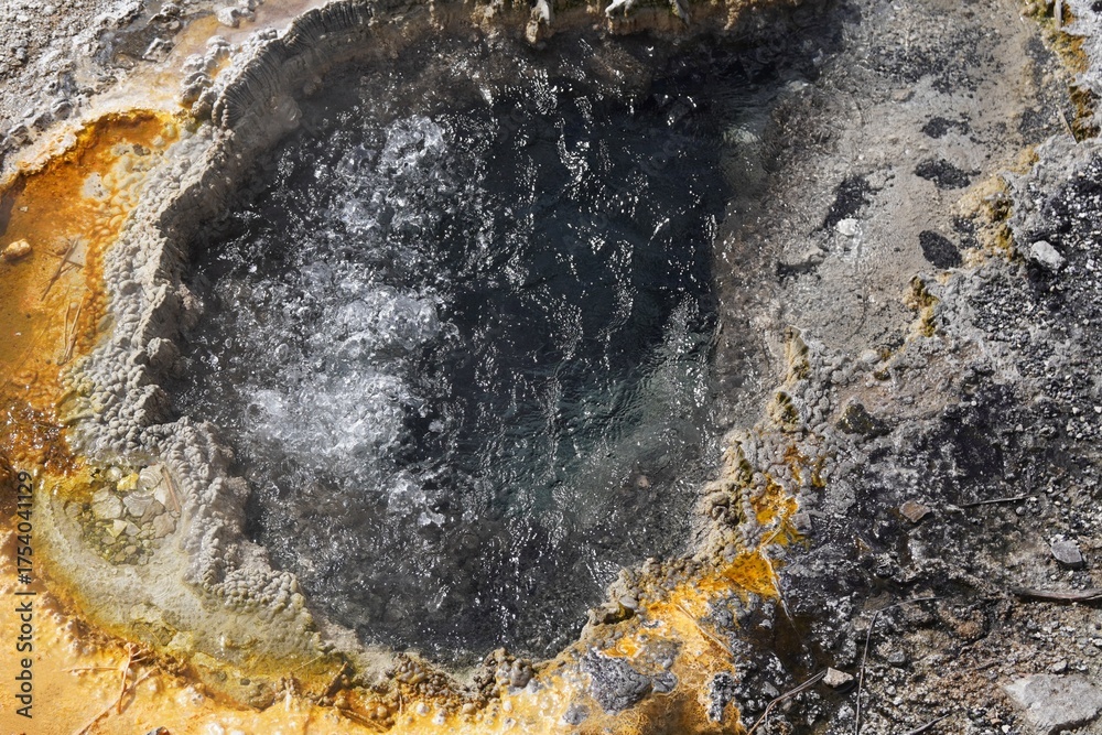 Fototapeta premium yellowstone hot spring