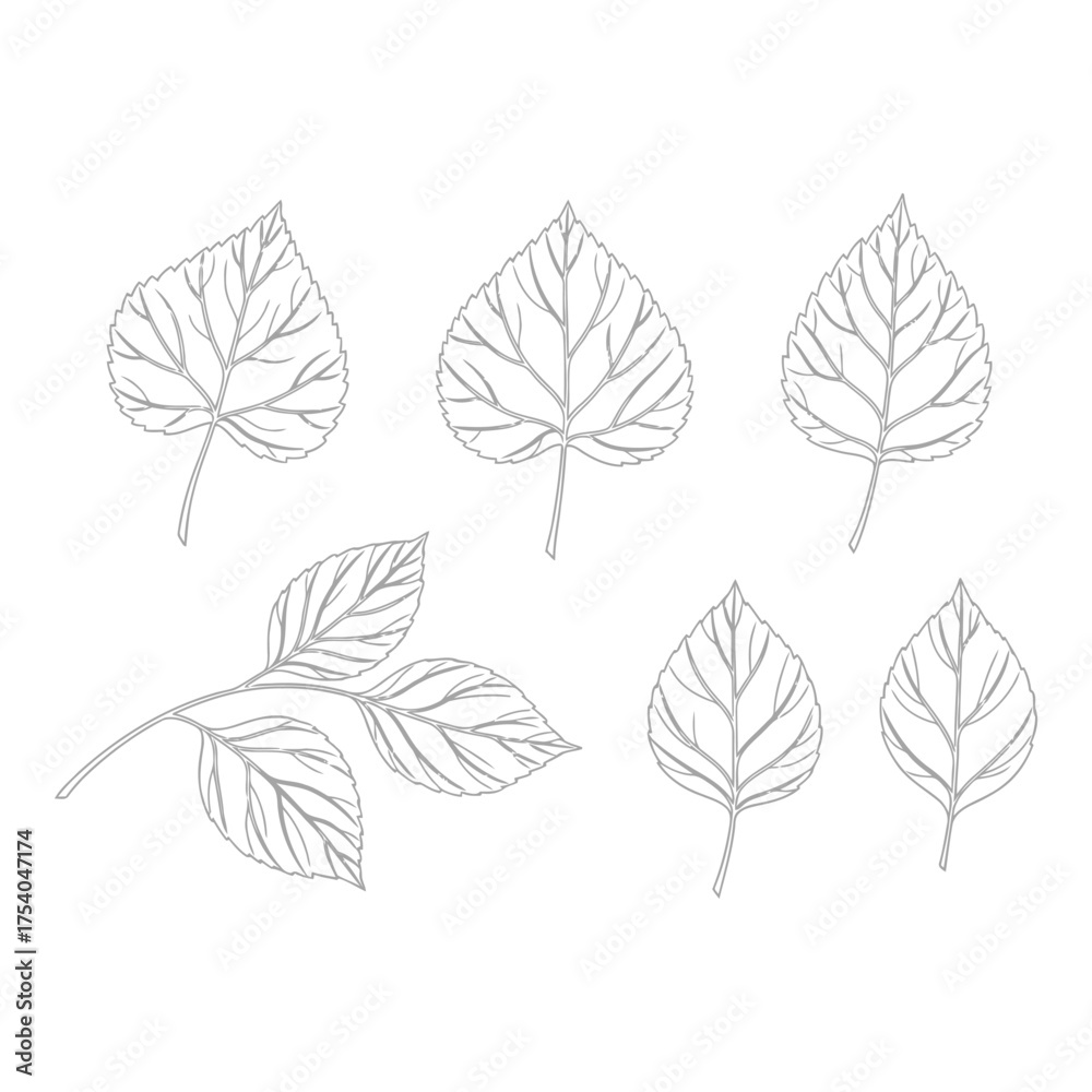 Obraz premium Collection of delicate leaf silhouettes isolated on white background