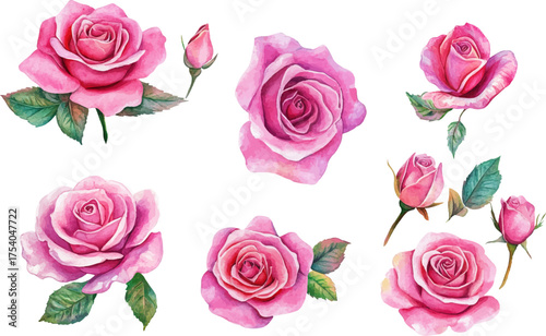 pink roses, watercolor roses, rose bouquet, pink roses on white background, realistic rose paintings, vibrant rose illustrations, detailed rose digital art, rose, flower, roses, pink, bouquet, floral,