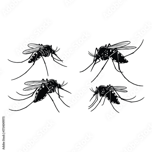 Four mosquito silhouettes isolated on white background