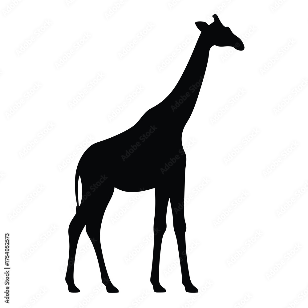 Fototapeta premium Elegant giraffe silhouette standing tall against a clean white background vector design