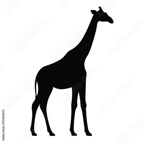 Elegant giraffe silhouette standing tall against a clean white background vector design
