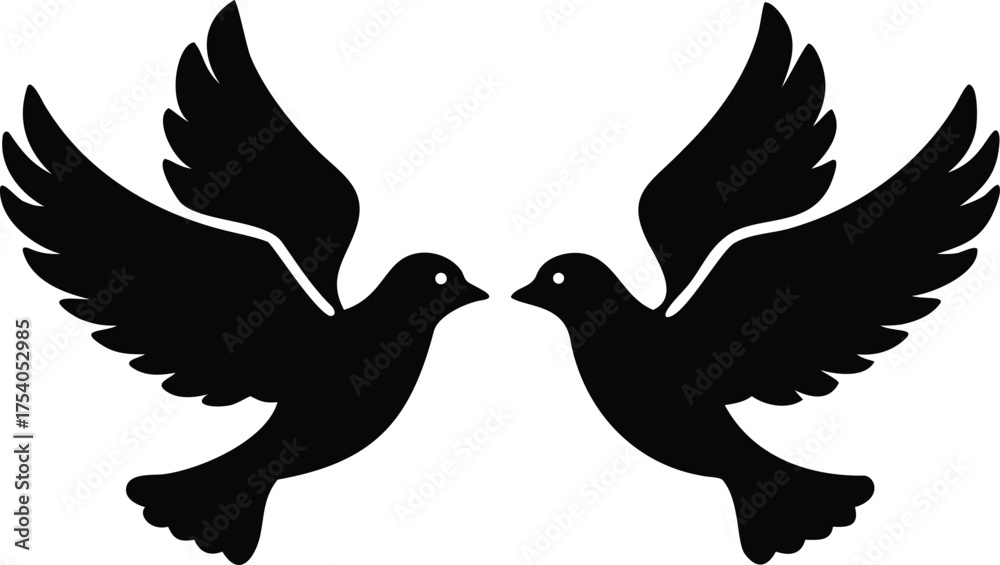 Fototapeta premium Two black doves facing each other in flight bird flying