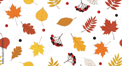 Autumn leaves and berries pattern on a white background, featuring various leaf types and berry clusters.