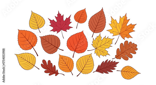 Illustration of various autumn leaves in different shapes and colors.