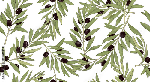 Watercolor illustration of olive branches with green leaves and black olives on a white background.