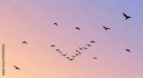 Flock of birds flying in formation against a colorful sky at sunset, creating a sense of freedom and migration, capturing the beauty of nature