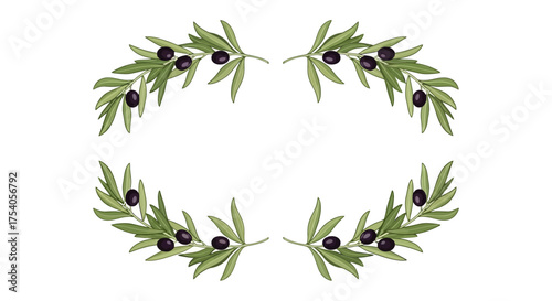 Illustration of olive branches with green leaves and black olives forming a decorative frame.