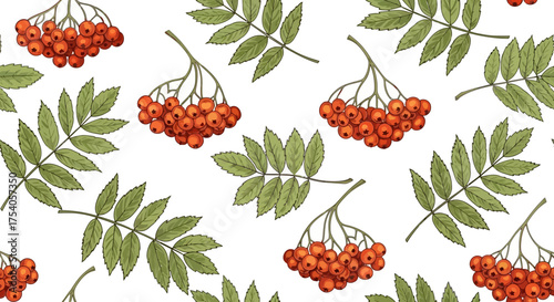 Seamless pattern with rowan berries and leaves on white background, detailed botanical illustration.