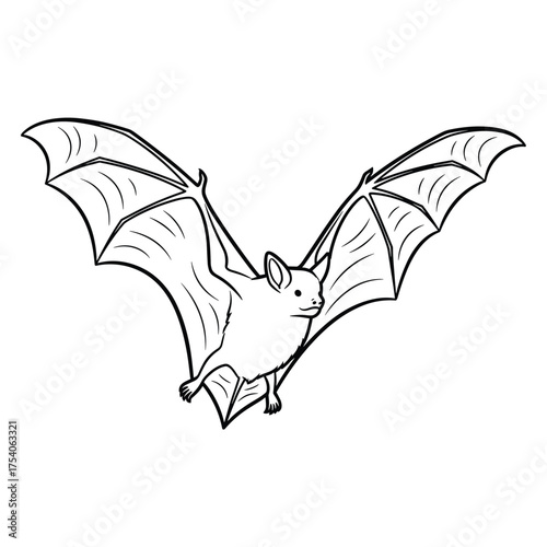 A detailed line drawing of a bat in flight with its wings spread wide.