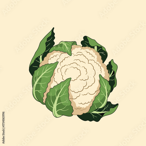 Fresh cauliflower a healthy and nutritious vegetable for your diet.